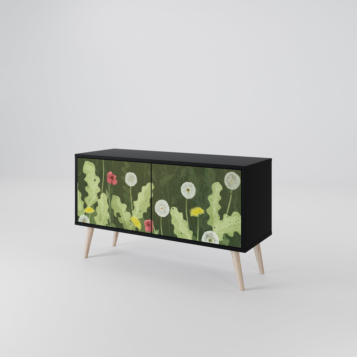 DANDELION AMUSE Compact 2-Door TV Cabinet