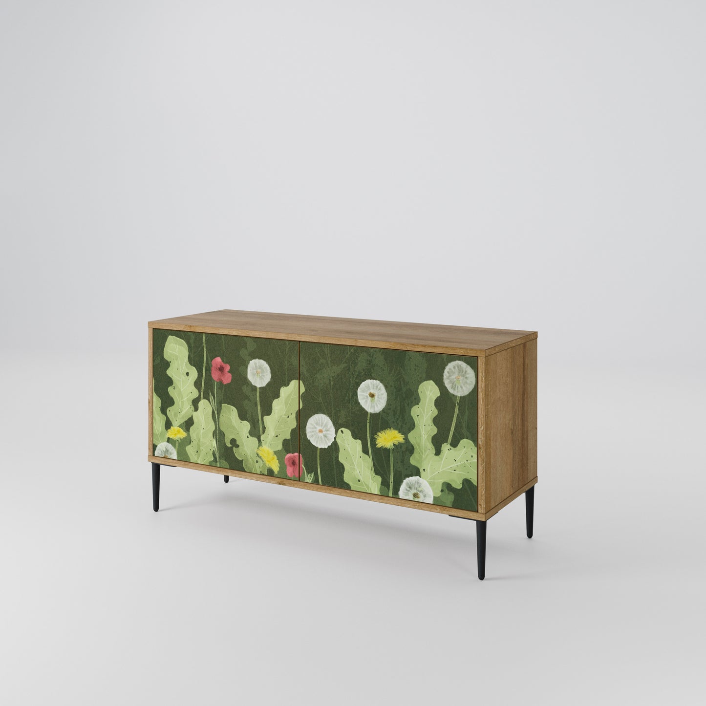 DANDELION AMUSE Compact 2-Door TV Cabinet
