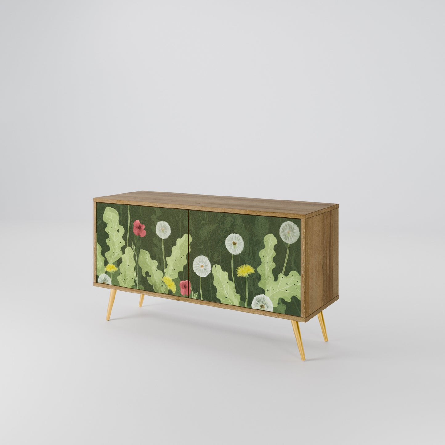 DANDELION AMUSE Compact 2-Door TV Cabinet
