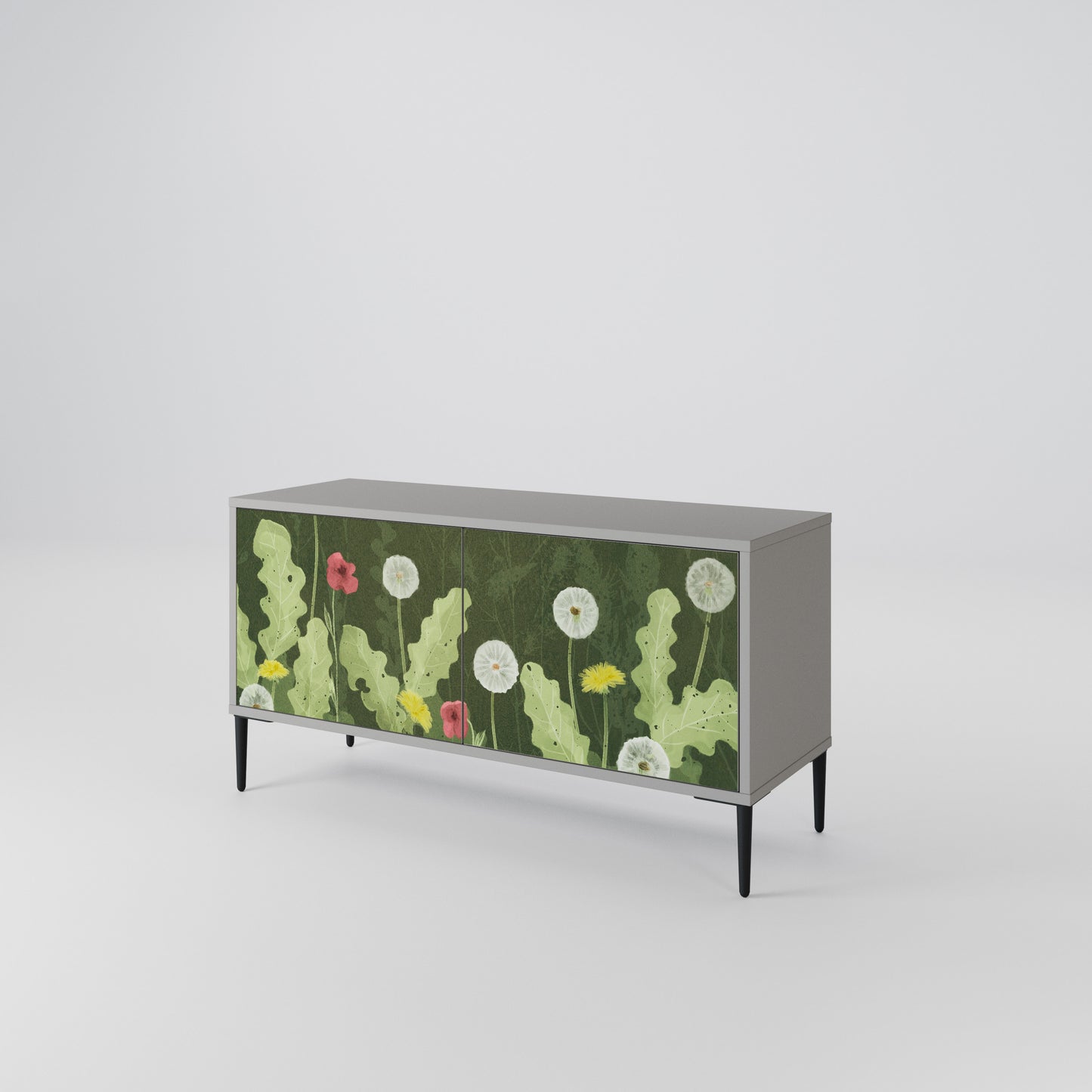 DANDELION AMUSE Compact 2-Door TV Cabinet