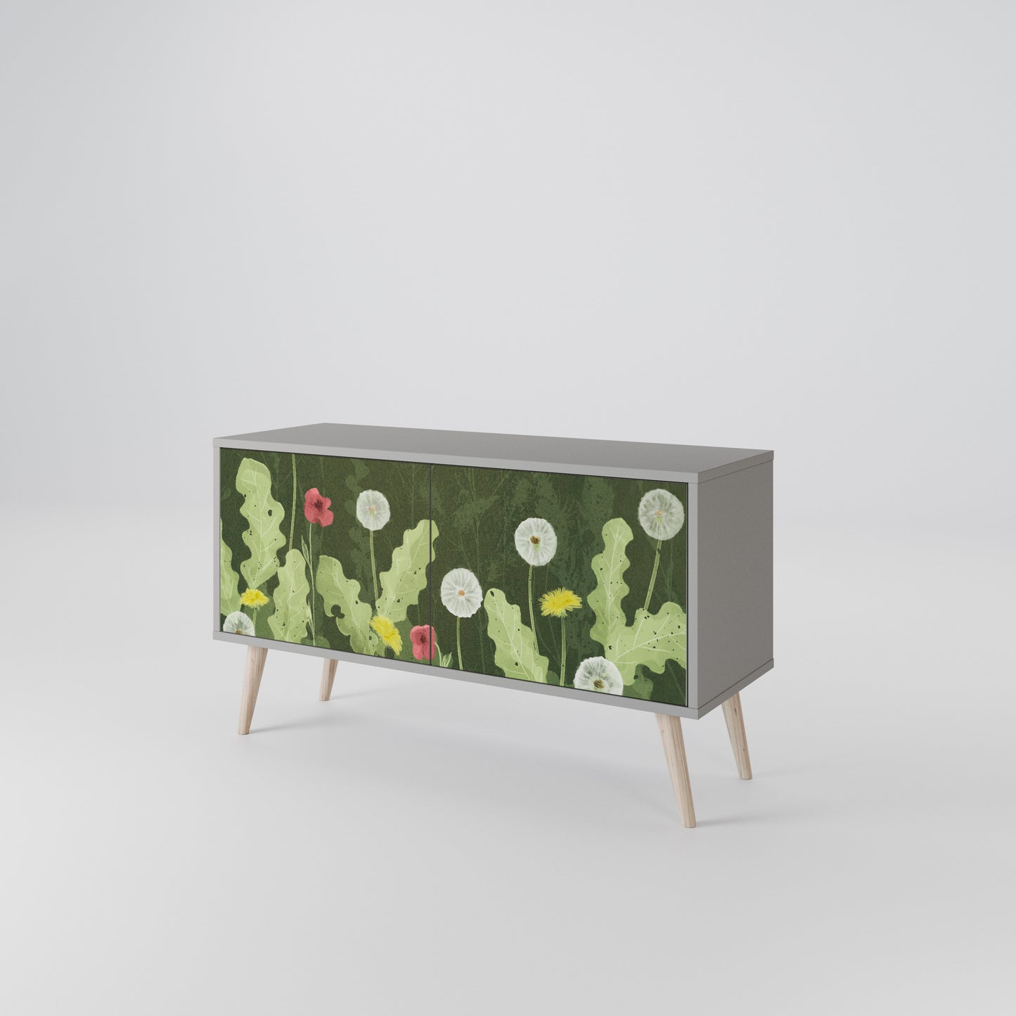 DANDELION AMUSE Compact 2-Door TV Cabinet