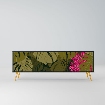 TROPICAL BEAUTY 3-Door TV Stand in Black Finish