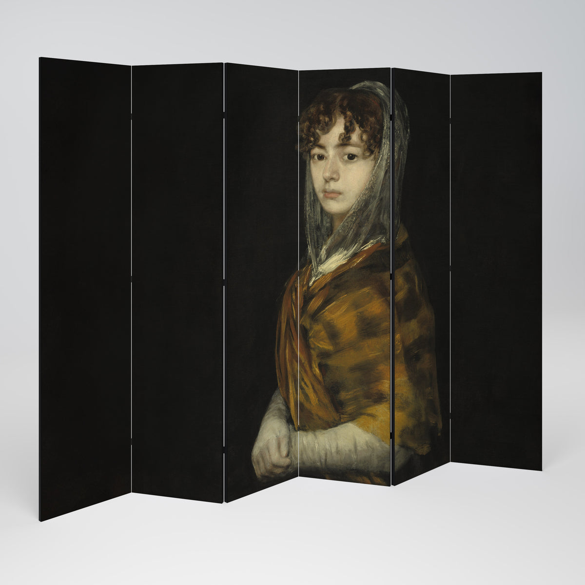 WHISPERS OF HISTORY Decorative 6-Panel Room Divider