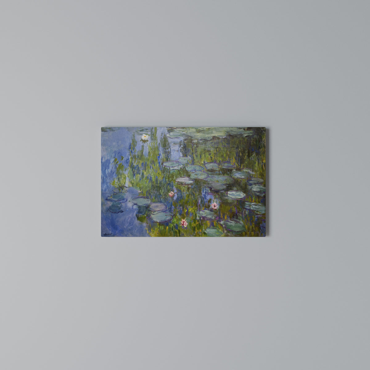 WATER LILIES Horizontal Canvas Print