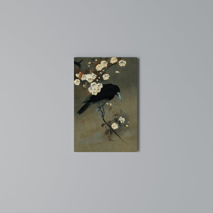 PETALS AND CROWS Stampa su Tela Verticale