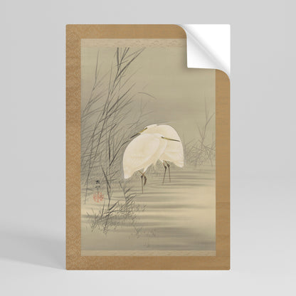 ZILVERREIGERS IN MOERAS Poster verticale stacca e incolla