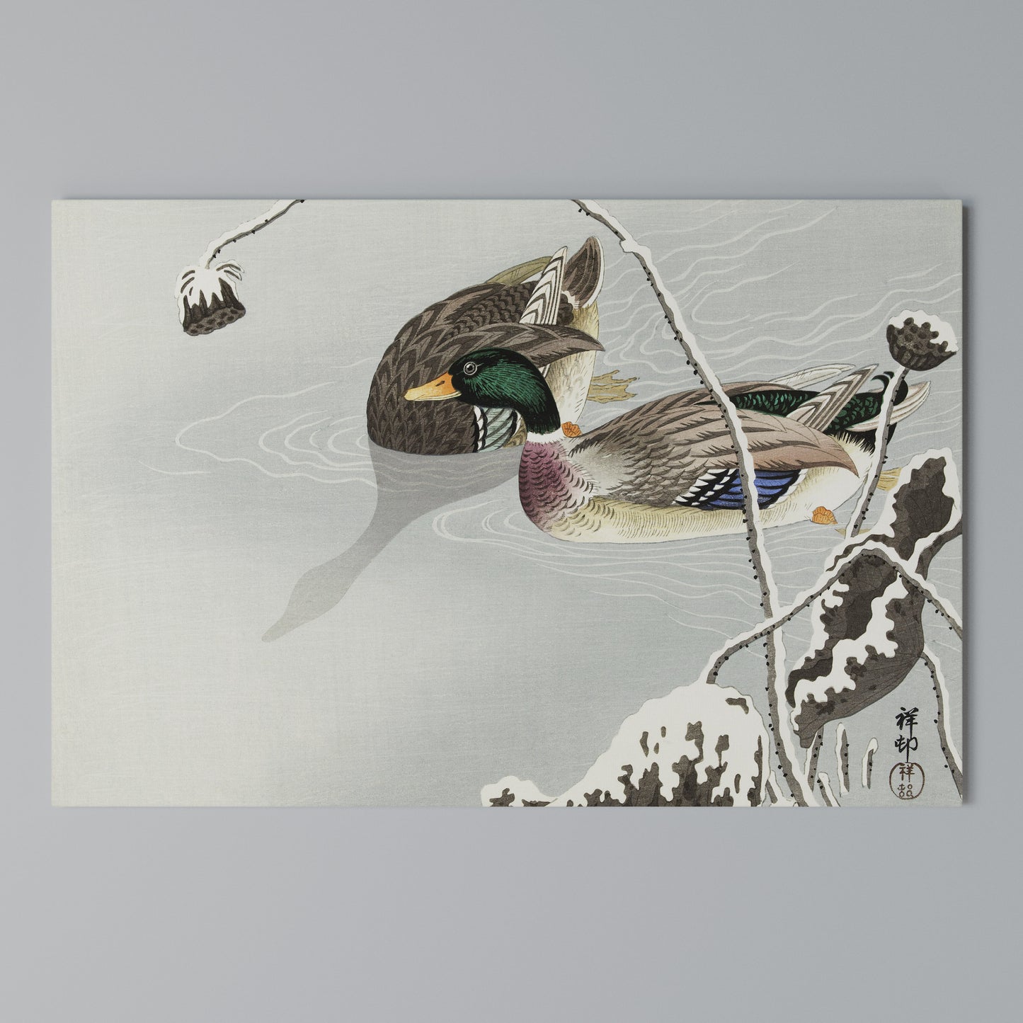 DANCE OF DUCKS Stampa su tela orizzontale