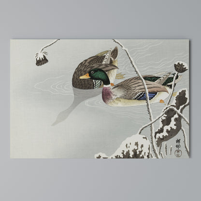 DANCE OF DUCKS Stampa su tela orizzontale