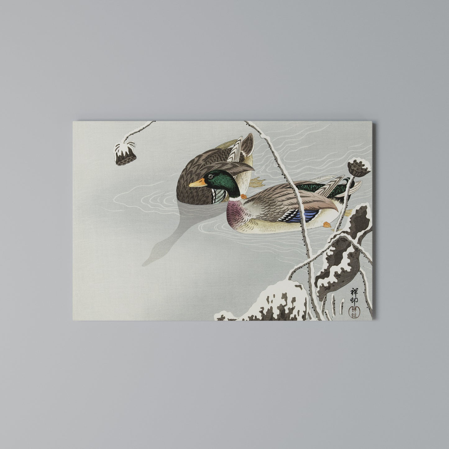 DANCE OF DUCKS Stampa su tela orizzontale