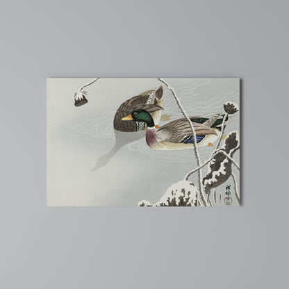 DANCE OF DUCKS Stampa su tela orizzontale