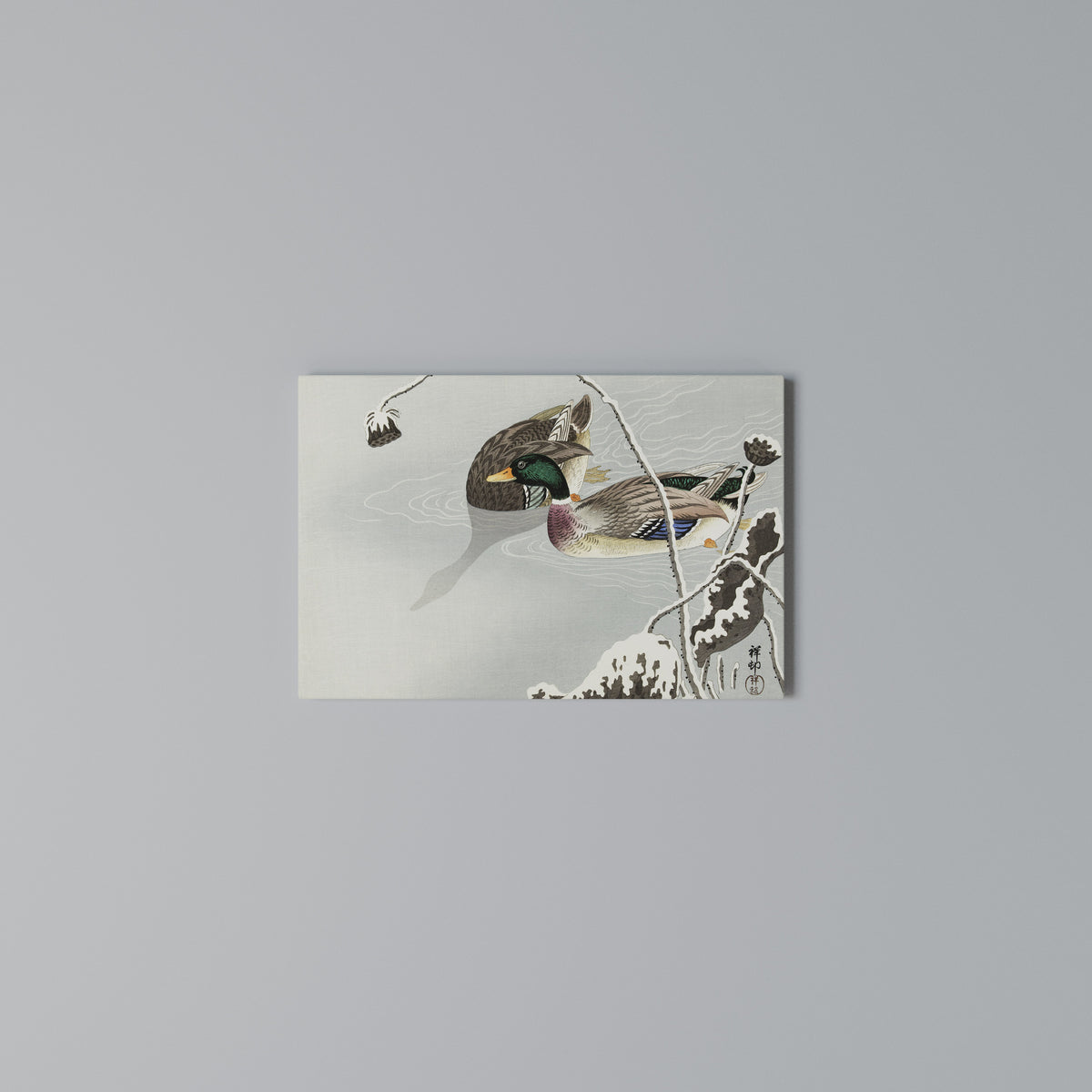 DANCE OF DUCKS Stampa su tela orizzontale