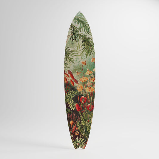 MUSCINAE LAUBMOOSE Decorative Plywood Surfboard