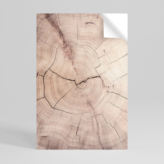 Poster verticale staccabile e attaccabile TIMEWORN RHYTHM