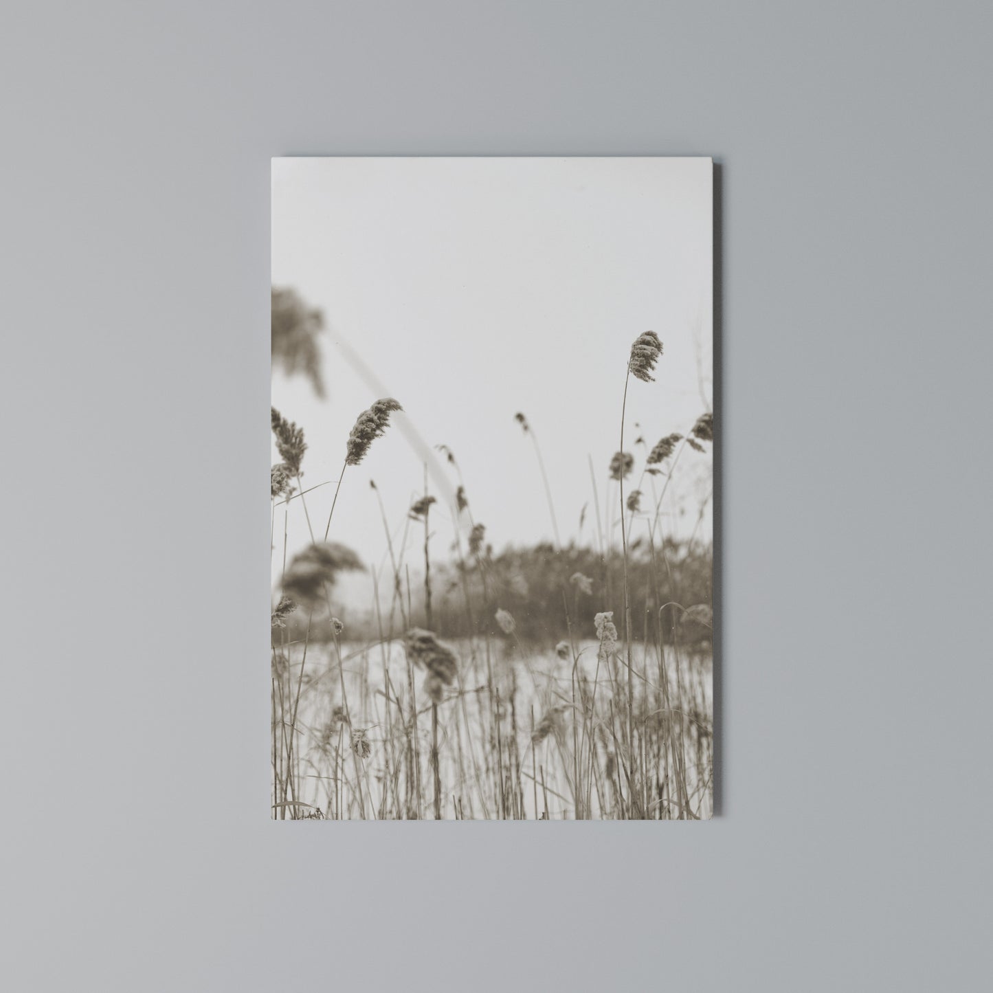 TIMELESS TUSSOCKS Stampa su Tela Verticale