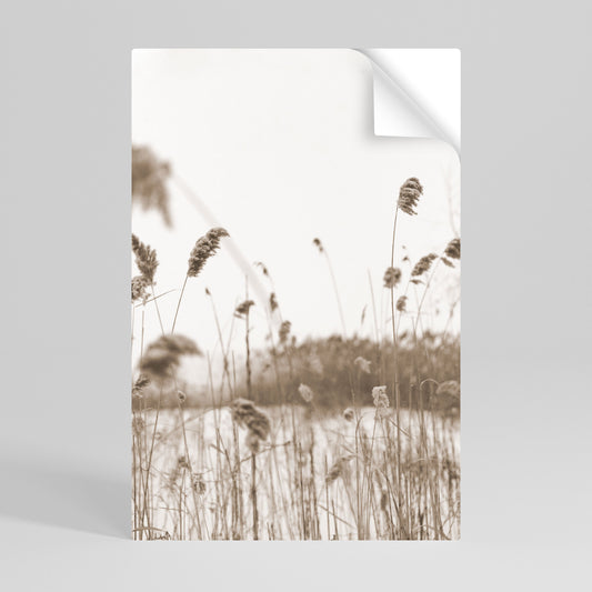 Poster verticale staccabile e attaccabile "TIMELESS TUSSOCKS"