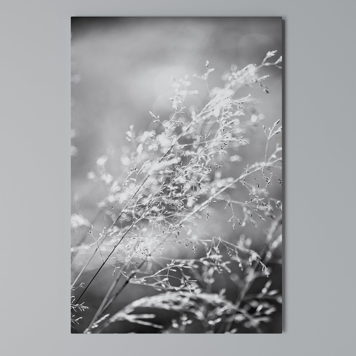 LIGHTSWEPT HARMONY Vertical Canvas Print