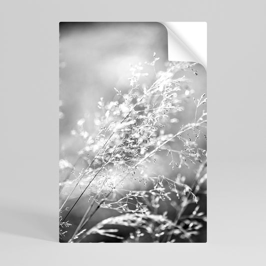 Poster verticale staccabile e attaccabile LIGHTSWEPT HARMONY