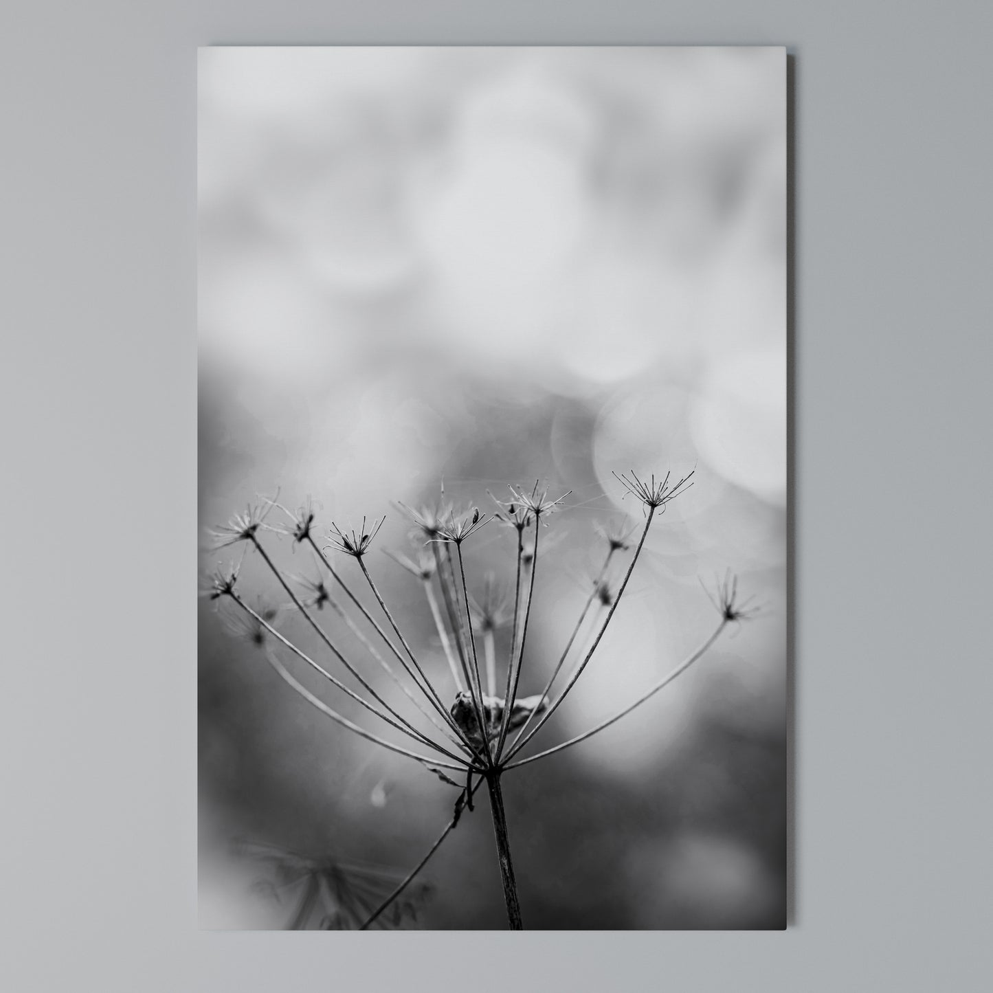 MINIMALIST BLOOM Stampa su Tela Verticale