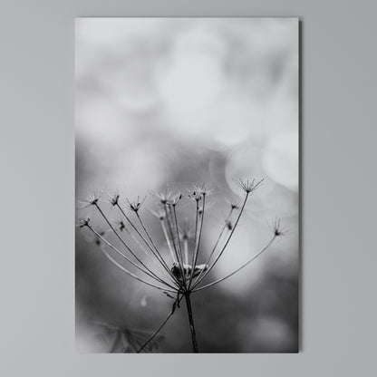 MINIMALIST BLOOM Stampa su Tela Verticale