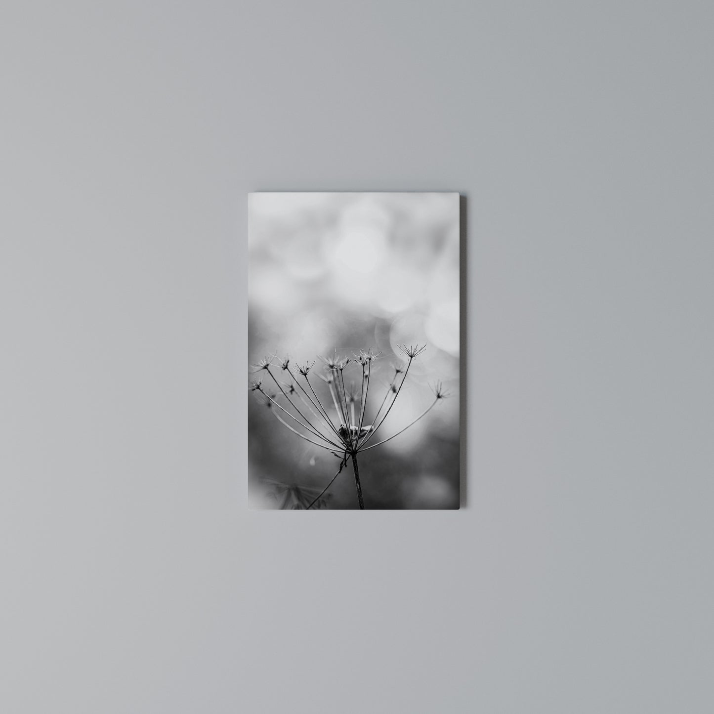 MINIMALIST BLOOM Stampa su Tela Verticale
