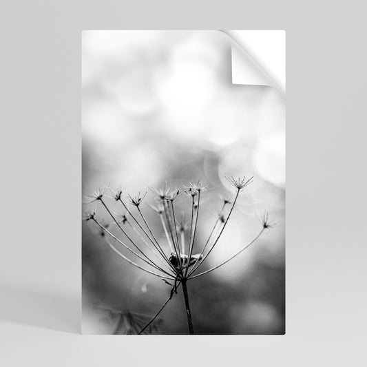 Poster verticale staccabile e attaccabile MINIMALIST BLOOM