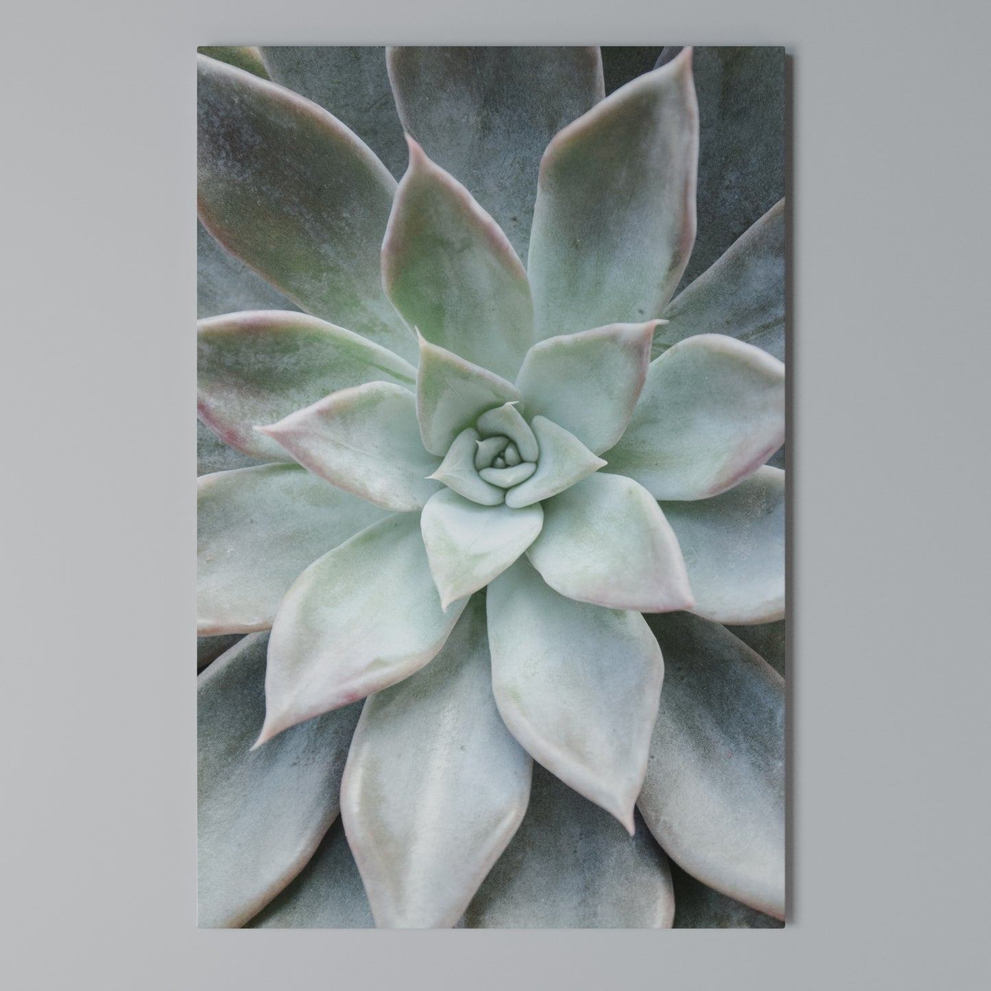 GEOMETRIC GARDEN MAGIC Stampa su Tela Verticale