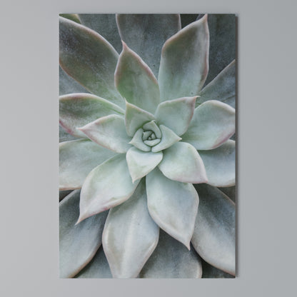 GEOMETRIC GARDEN MAGIC Stampa su Tela Verticale