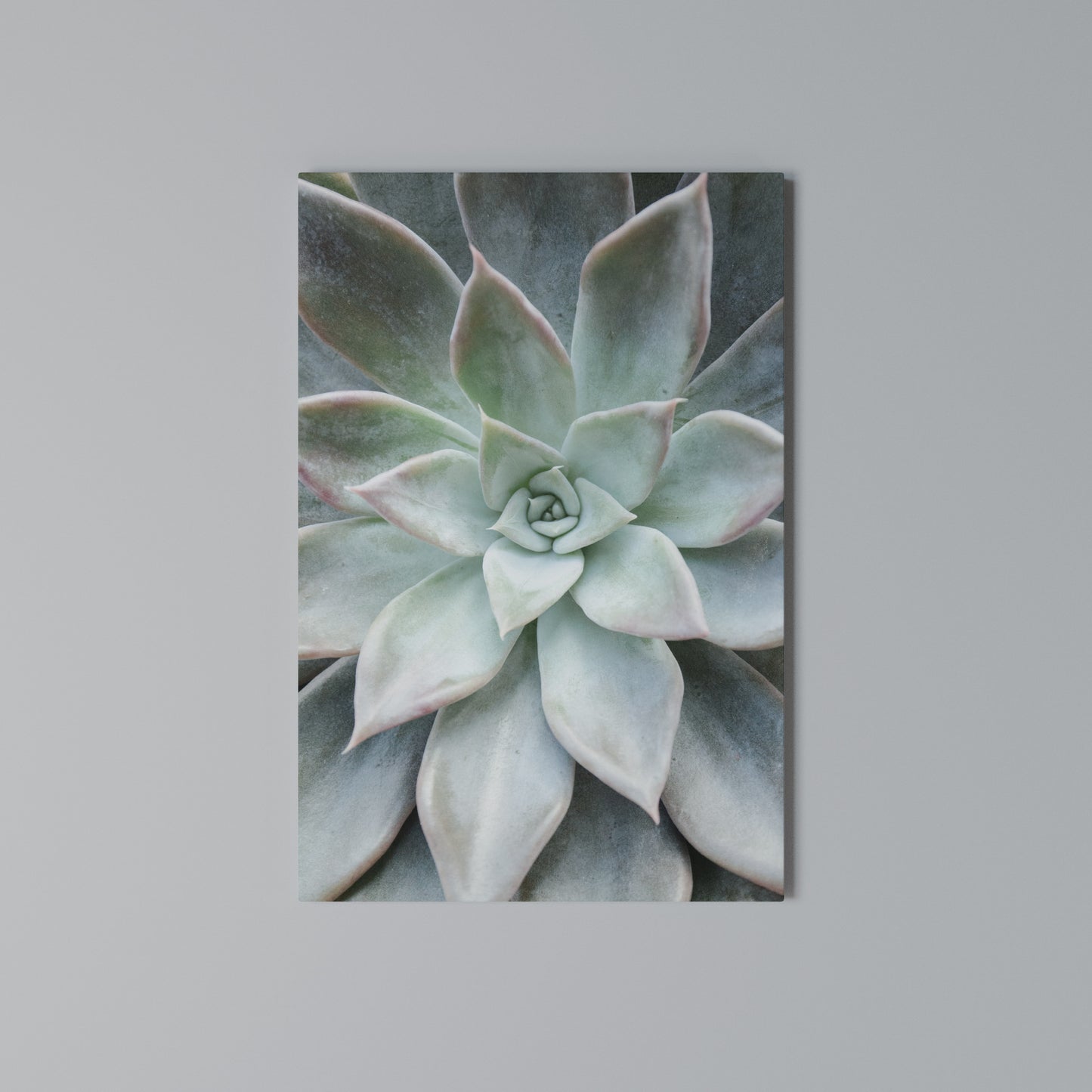GEOMETRIC GARDEN MAGIC Stampa su Tela Verticale