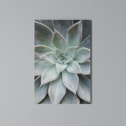 GEOMETRIC GARDEN MAGIC Stampa su Tela Verticale