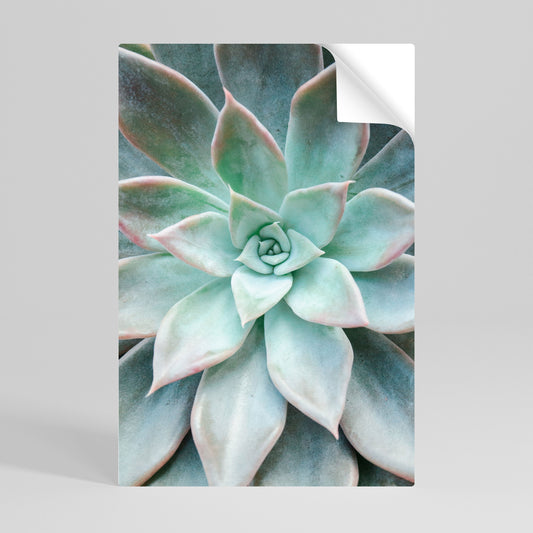 Poster verticale staccabile e attaccabile "MAGIA DEL GIARDINO GEOMETRICO"