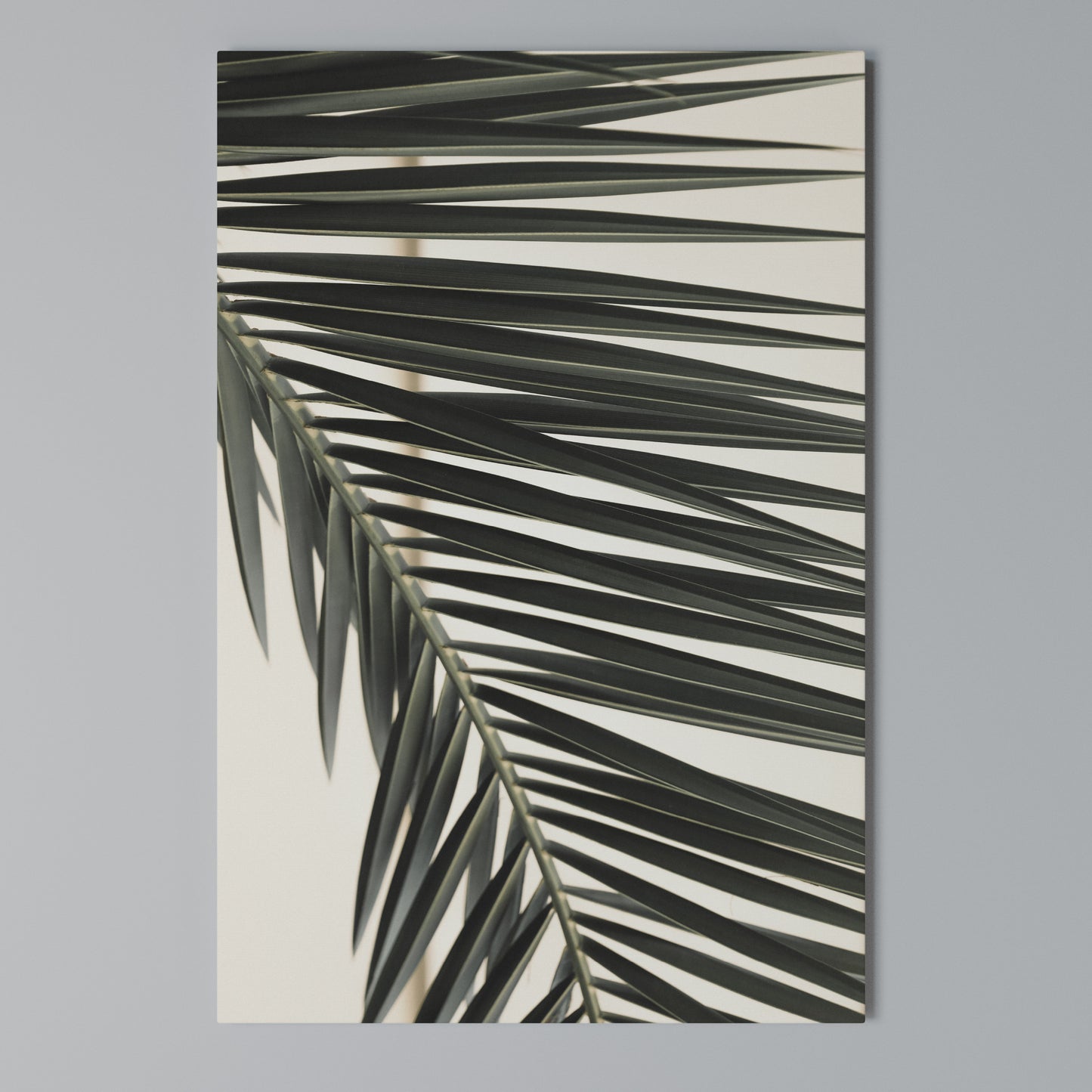 PALM SYMPHONY Stampa su Tela Verticale