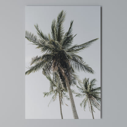 PALM PARADISE SIGHT Stampa su Tela Verticale