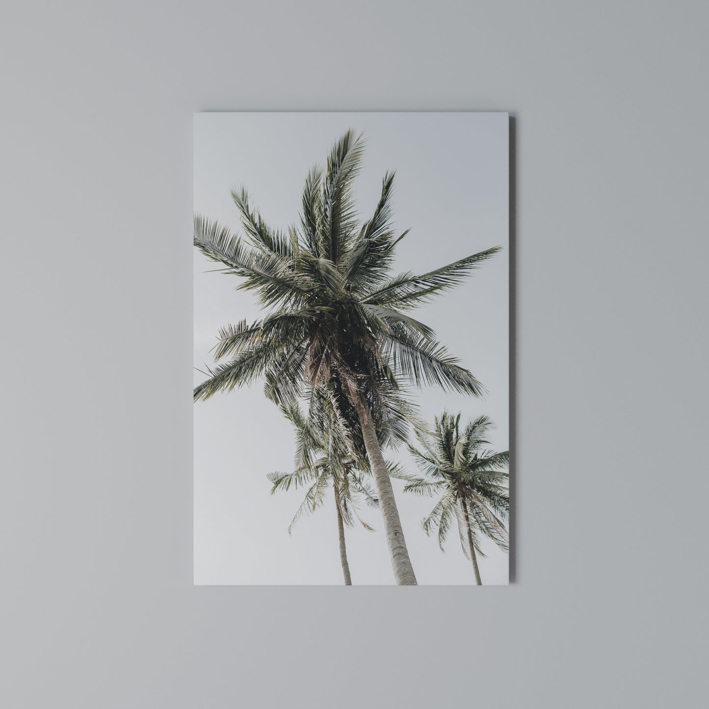 PALM PARADISE SIGHT Stampa su Tela Verticale