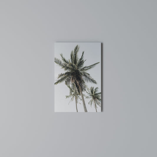 PALM PARADISE SIGHT Stampa su Tela Verticale