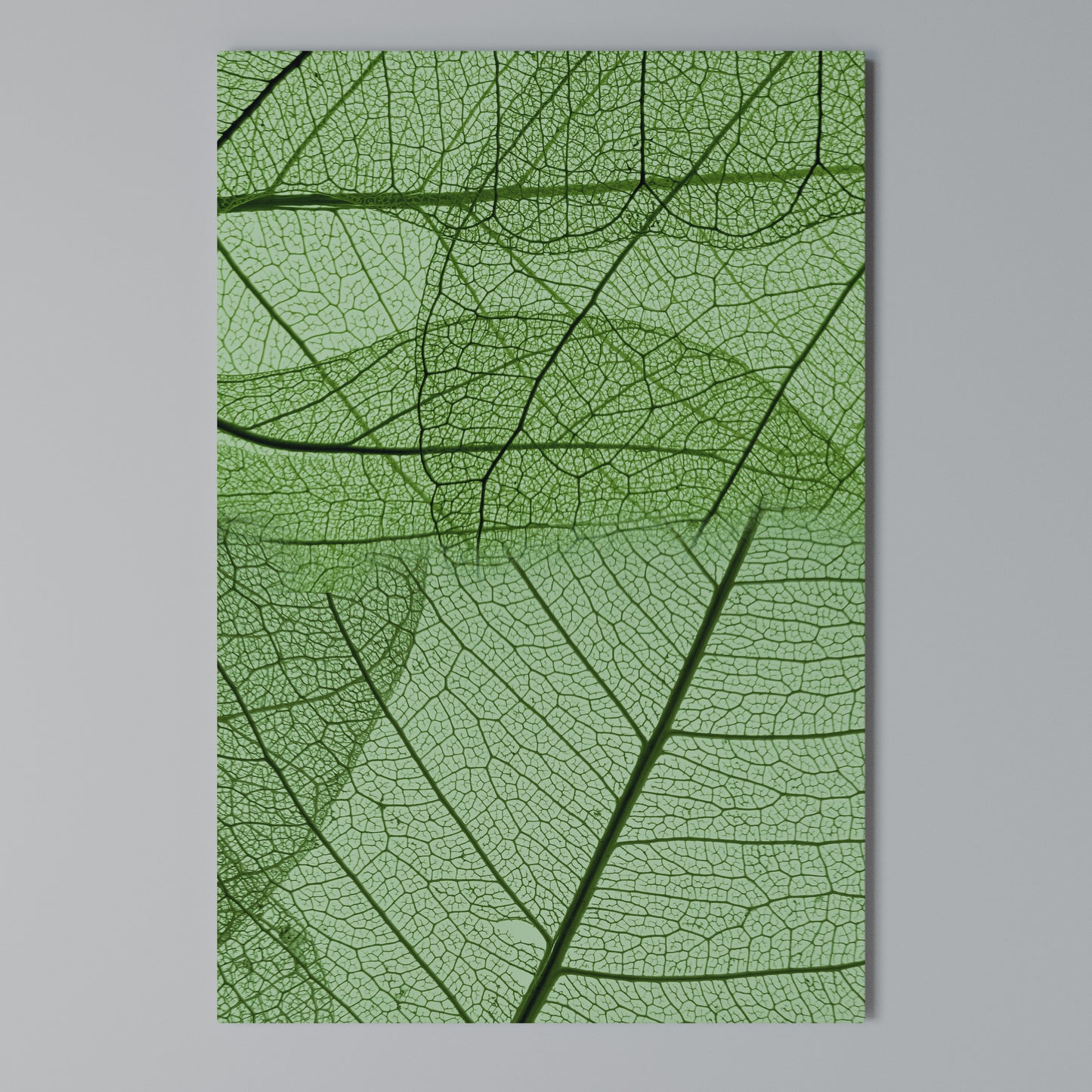 VEINS OF LIFE Stampa su Tela Verticale