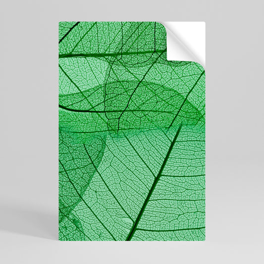 Poster verticale staccabile e attaccabile VENES OF LIFE