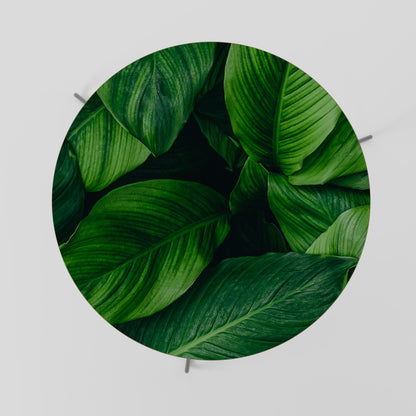 Tavolino da caffè VIBRANT LEAFY EMBRACE 69