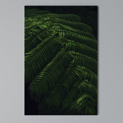 FERN FANTASY Stampa su Tela Verticale