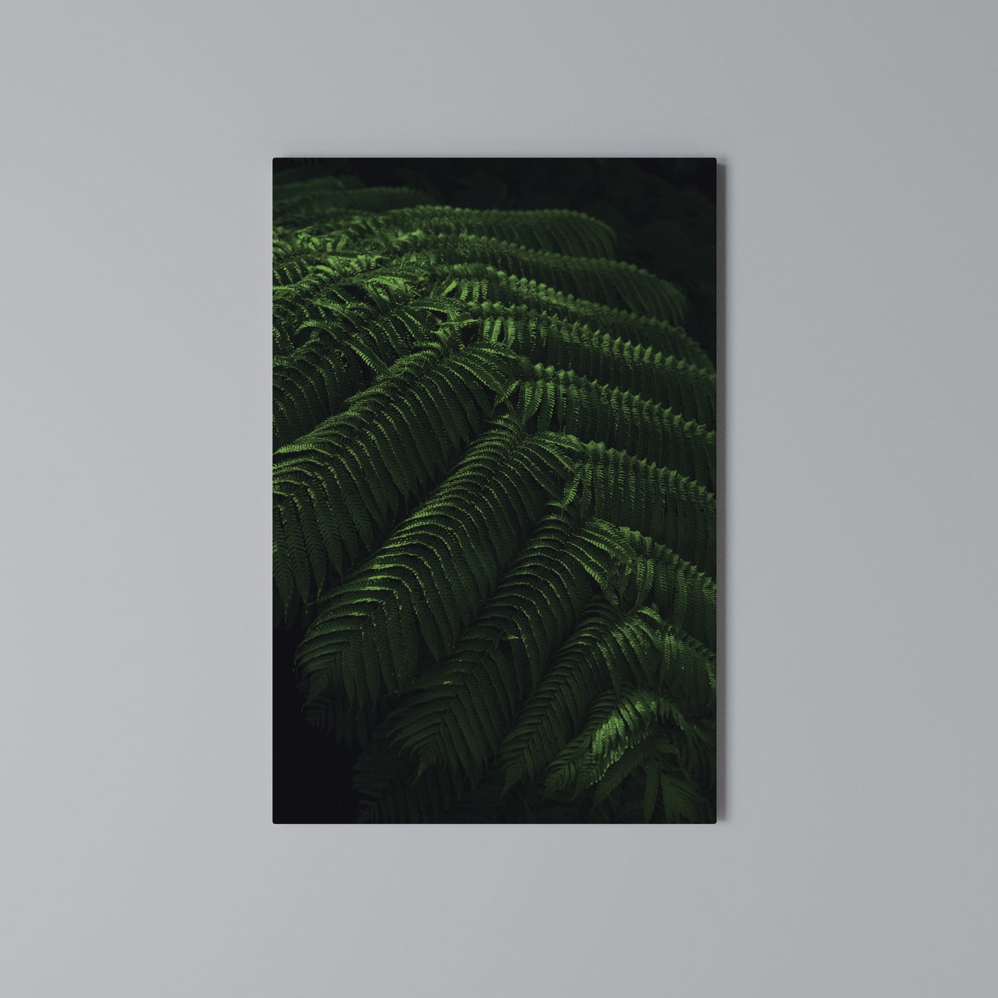 FERN FANTASY Stampa su Tela Verticale