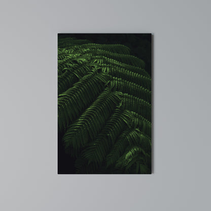FERN FANTASY Stampa su Tela Verticale