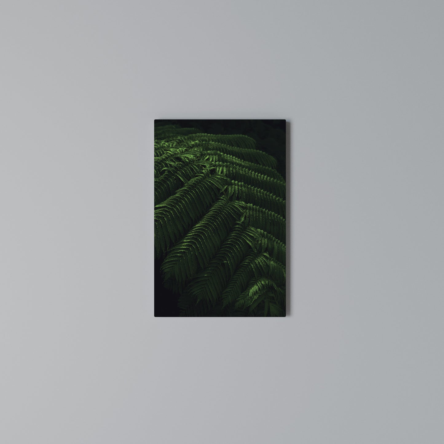 FERN FANTASY Stampa su Tela Verticale
