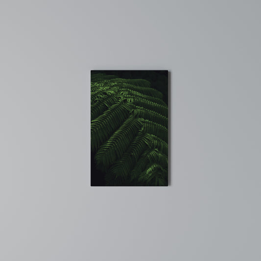 FERN FANTASY Stampa su Tela Verticale