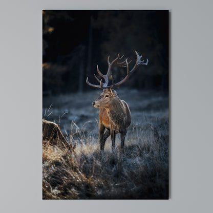 ANTLERED REGALITY Stampa su Tela Verticale