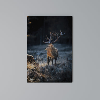ANTLERED REGALITY Stampa su Tela Verticale