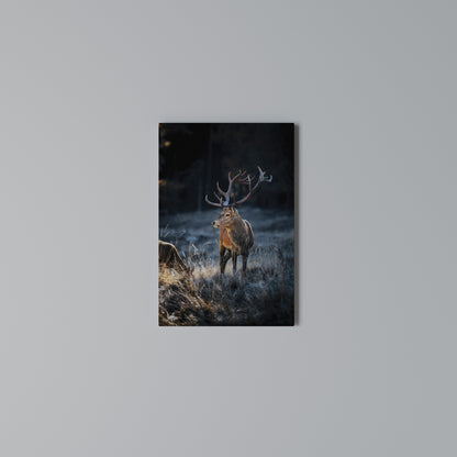 ANTLERED REGALITY Stampa su Tela Verticale