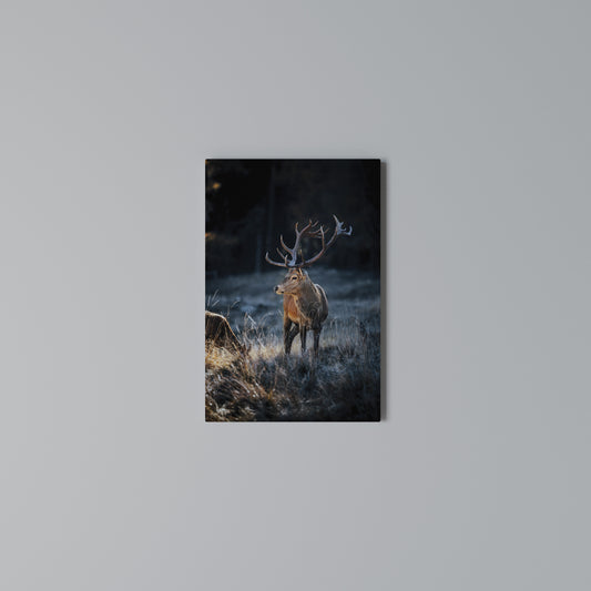 ANTLERED REGALITY Stampa su Tela Verticale