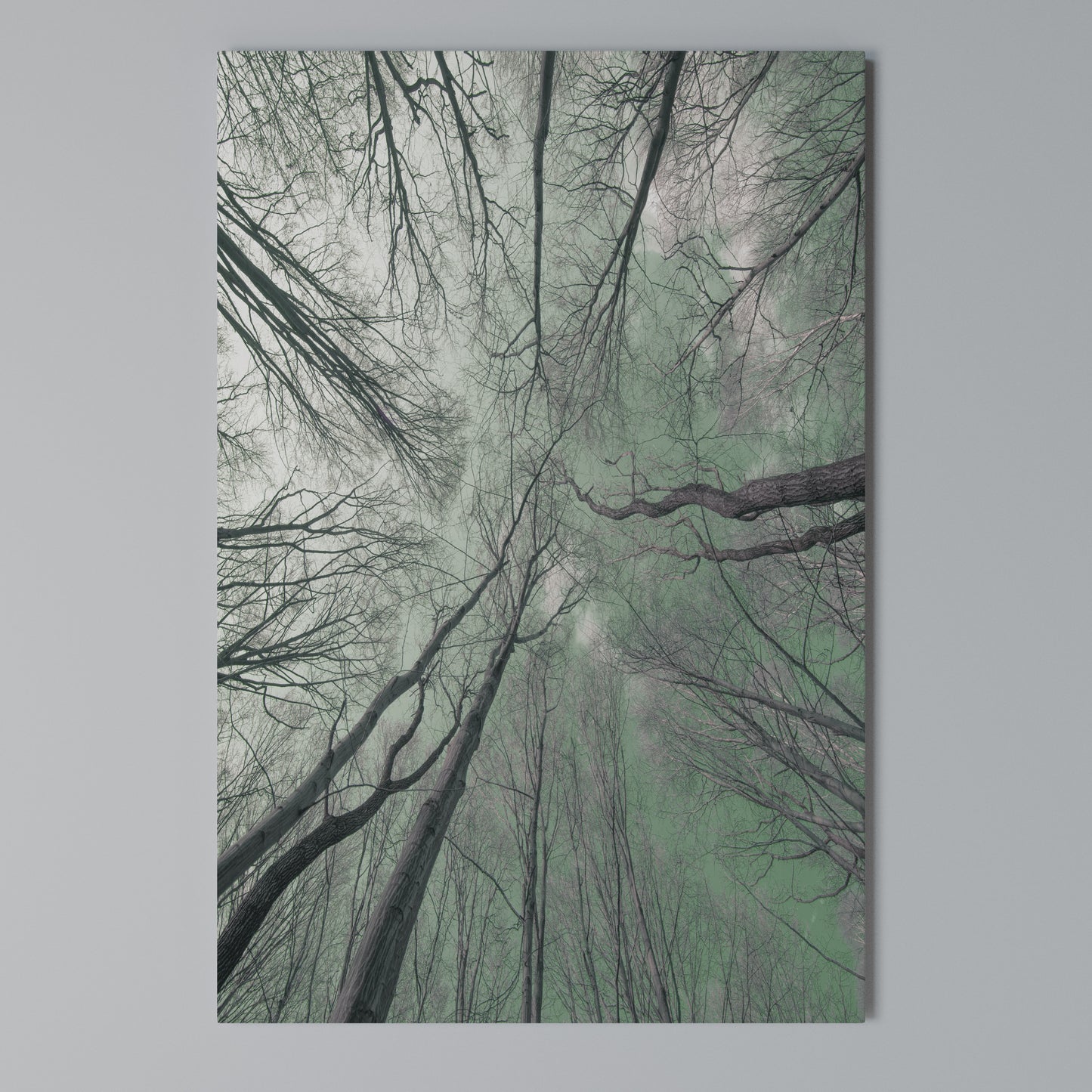 SKYWARD FANTASIES Stampa su Tela Verticale