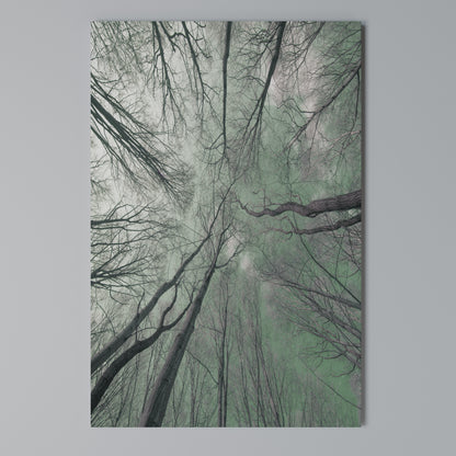 SKYWARD FANTASIES Stampa su Tela Verticale