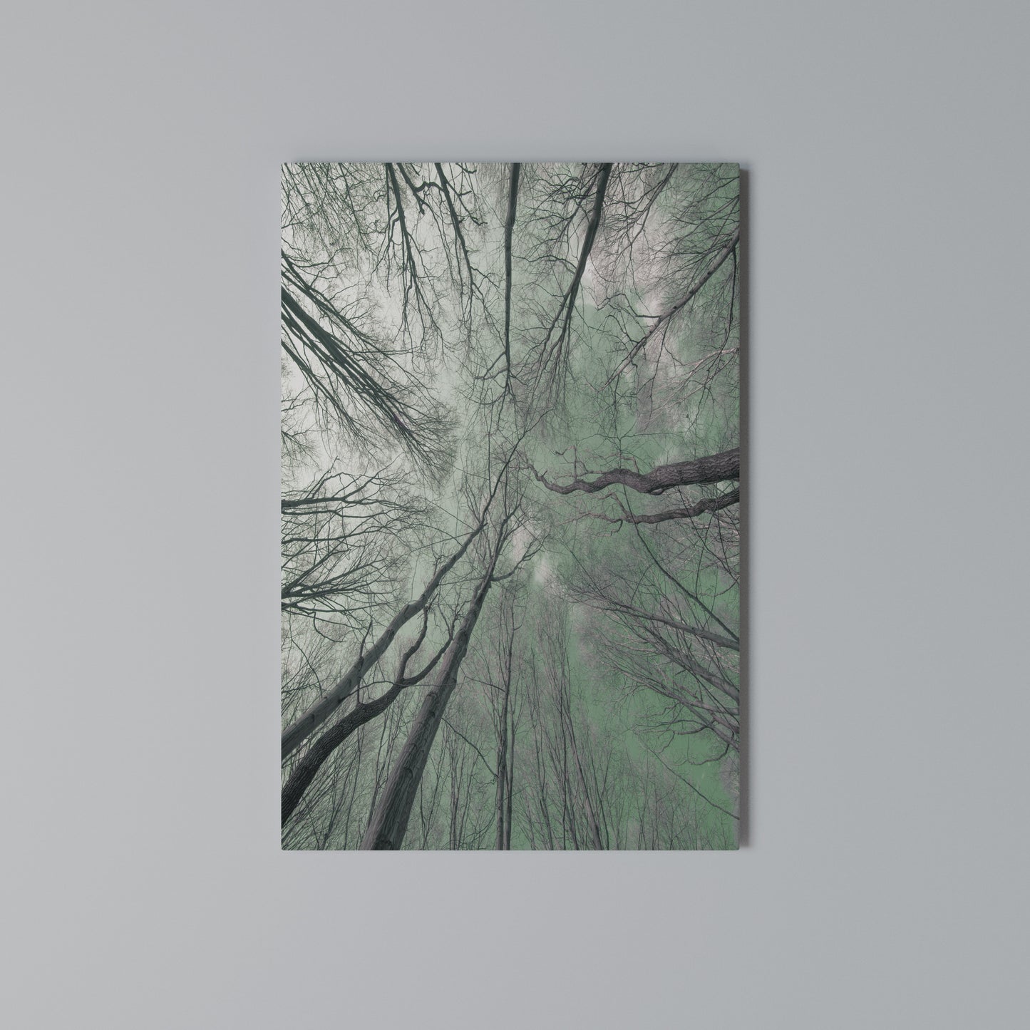 SKYWARD FANTASIES Stampa su Tela Verticale