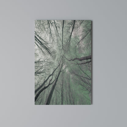 SKYWARD FANTASIES Stampa su Tela Verticale